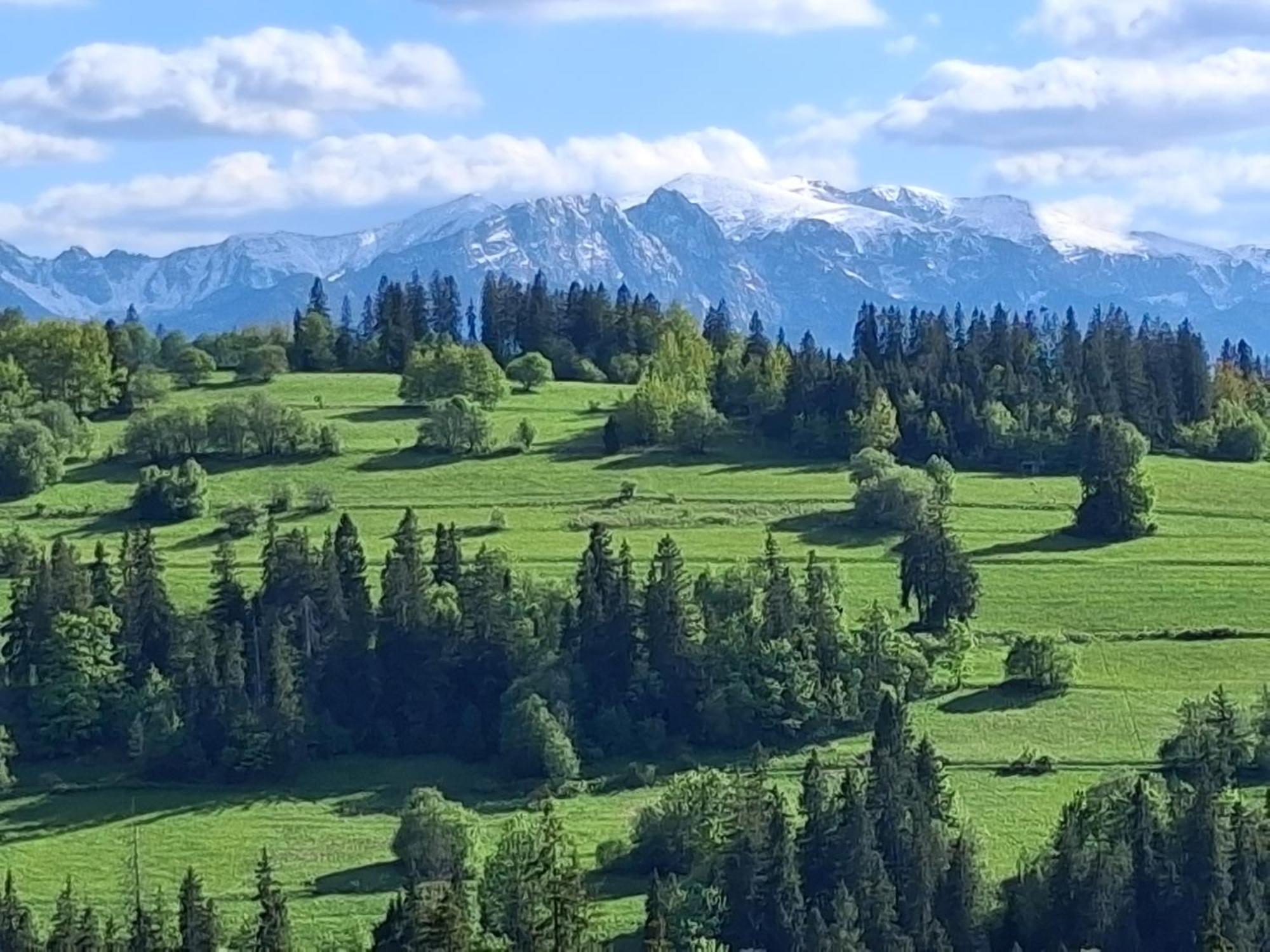 Dom Z Widokiem Na Wierchy - Panorama Na Tatry - Traditional Folk House Gliczarów Esterno foto