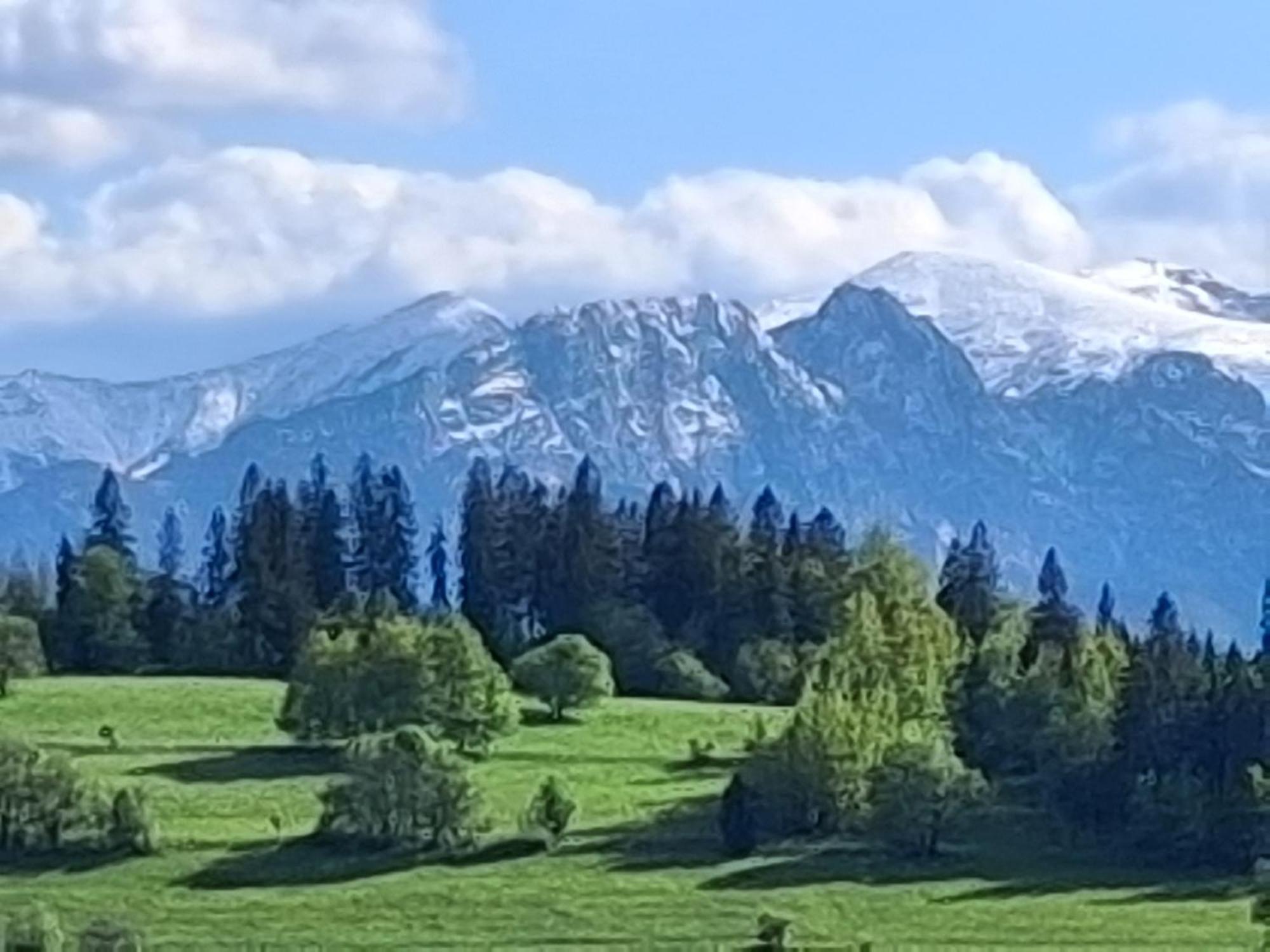 Dom Z Widokiem Na Wierchy - Panorama Na Tatry - Traditional Folk House Gliczarów Esterno foto